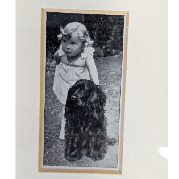 Vtg Cocker Spaniel Photos Framed Dogs and Friend Black White Lady Kitty Ritson - Picture 2 of 8